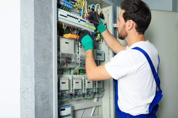 Best Electric Panel Repair  in Kalkaska, MI